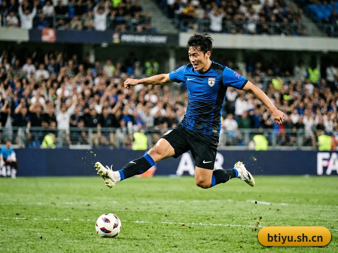B体育的故事 | B Sports